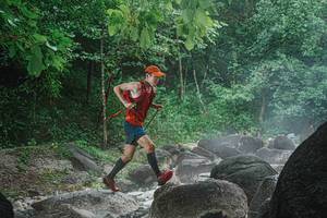 BIB: 
                            <button type="button" onclick="openModal(25107556)" class="btn btn-primary btn-sm float-right btn-popup" data-toggle="modal" data-target=".modal-high-quality">
                        <i class="fas fa-shopping-cart"></i> Add to Cart
                    </button>
                                            <button type="button" onclick="isThisMe(25107556, true)" class="btn btn-success btn-sm float-right btn-popup btn-isme hidden" data-toggle="tooltip" data-placement="bottom" title="นี่คือรูปของคุณใช่ไหม คลิกที่นี่เพื่อเอาเข้าอัลบั้ม">
                        <i class="fas fa-plus"></i> Add to album
                    </button>
                    <button type="button" onclick="isThisMe(25107556, false)" class="btn btn-warning btn-sm float-right btn-popup btn-isnotme hidden">
                        <i class="fas fa-ban"></i> Remove from album
                    </button>